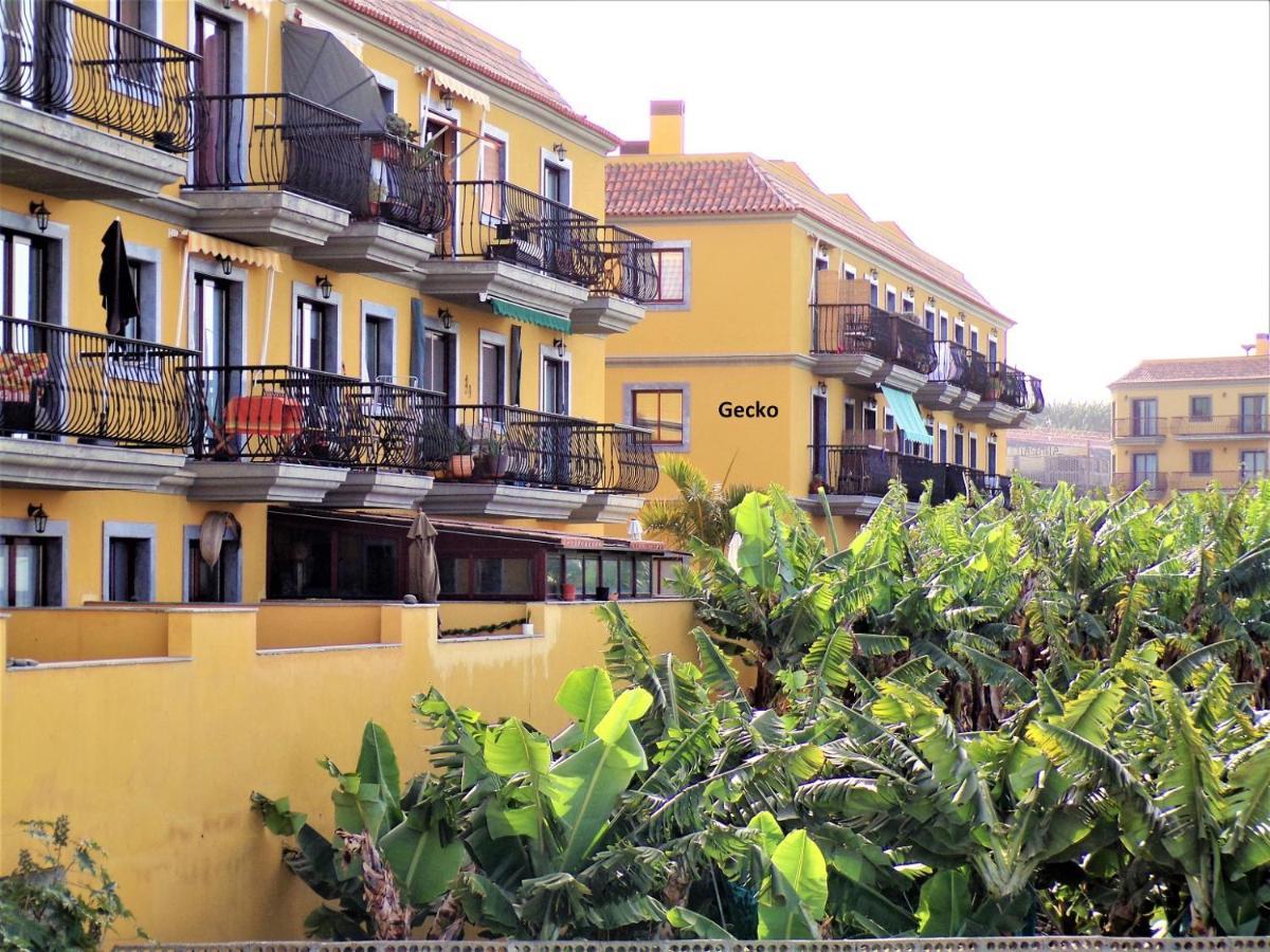 Ferienwohnung Gecko Tazacorte Exterior foto